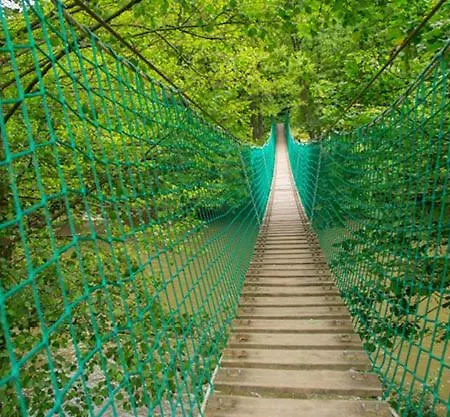 La Petite Ourse - In Het Bos * Durbuy