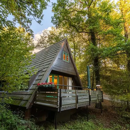 La Petite Ourse - In Het Bos Hébergement de vacances *