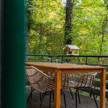 La Petite Ourse - In Het Bos * Durbuy