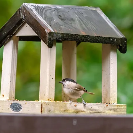 La Petite Ourse - In Het Bos Hébergement de vacances *