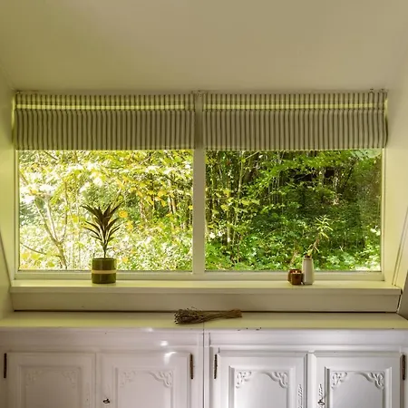 La Petite Ourse - In Het Bos