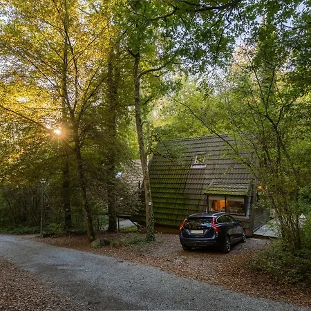La Petite Ourse - In Het Bos