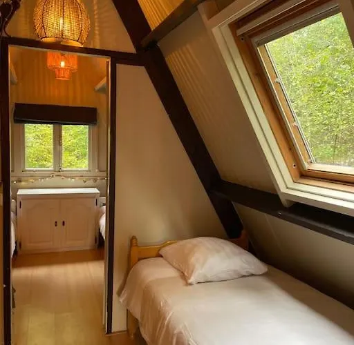 Hébergement de vacances La Petite Ourse - In Het Bos Durbuy