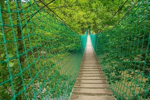 La Petite Ourse - In Het Bos * Durbuy