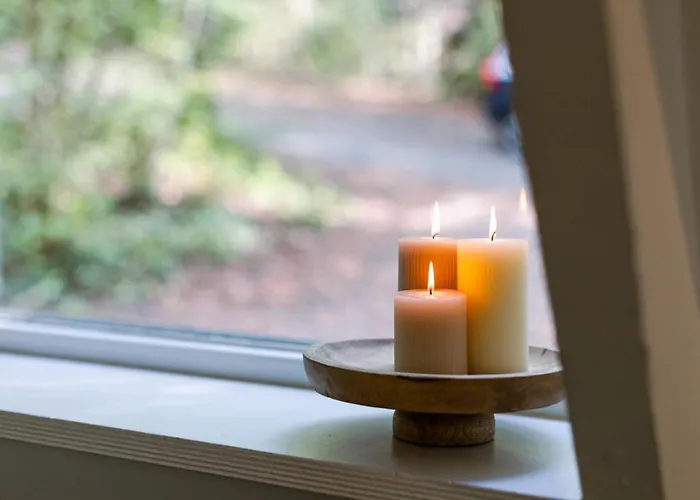 La Petite Ourse - In Het Bos Hébergement de vacances