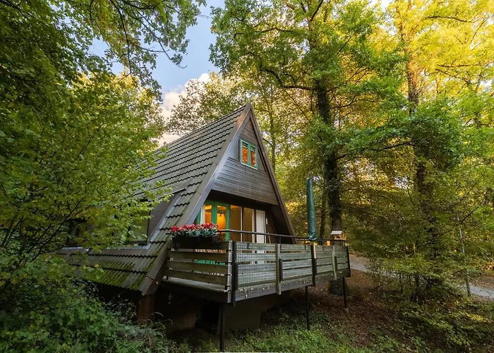 La Petite Ourse - In Het Bos Hébergement de vacances *