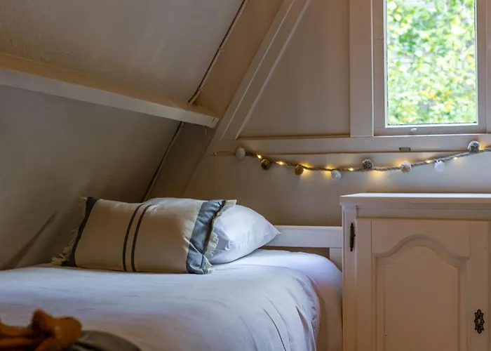 La Petite Ourse - In Het Bos Durbuy