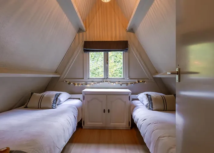 La Petite Ourse - In Het Bos *