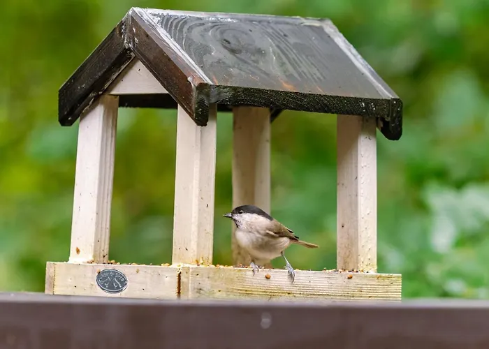 La Petite Ourse - In Het Bos Vakantiehuis *