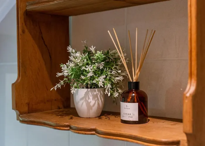 La Petite Ourse - In Het Bos Durbuy