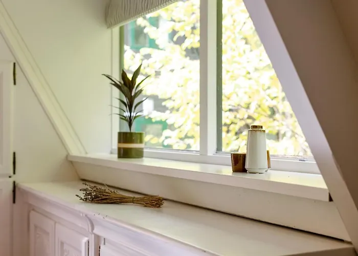 La Petite Ourse - In Het Bos Hébergement de vacances *