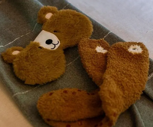 La Petite Ourse - In Het Bos Durbuy