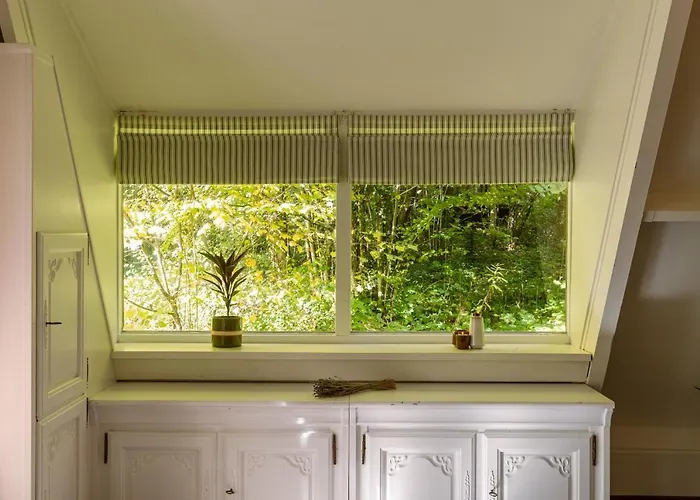 La Petite Ourse - In Het Bos