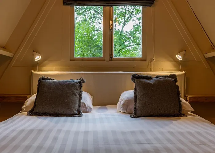 La Petite Ourse - In Het Bos * Durbuy