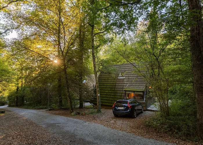 La Petite Ourse - In Het Bos