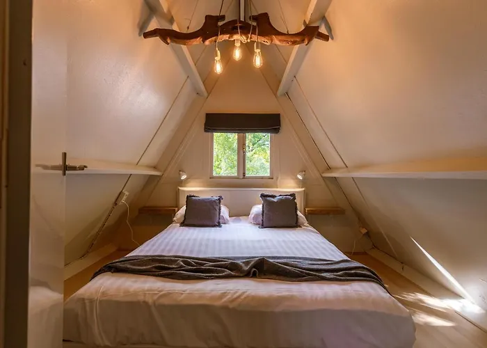 Hébergement de vacances La Petite Ourse - In Het Bos Durbuy